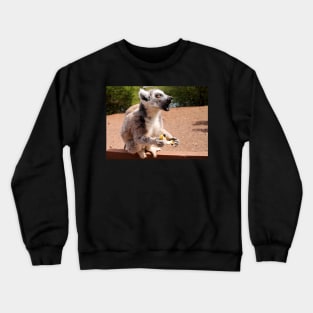 Brunch Crewneck Sweatshirt